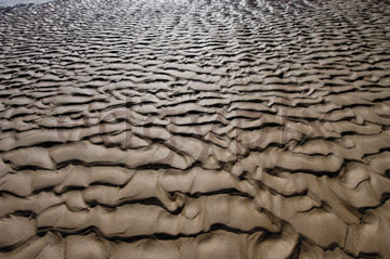Comp image : shor022739 : Strongly defined ripples in the sand, seen against the light, on a deserted beach at low tide on the flat North Norfolk coast of England