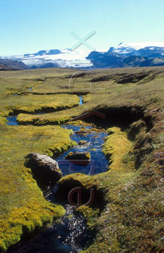 Comp image : torf0215 : Bright moss lines an isolated stream in Icelandic landscape. Myrdalsj&ouml;kull [Myrdalsjokull] in the background