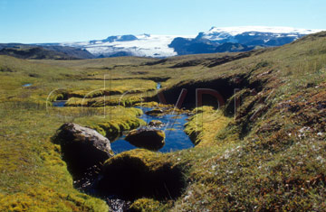 Comp image : torf0216 : Bright moss lines an isolated stream in Icelandic landscape. Myrdalsj&ouml;kull [Myrdalsjokull] in the background