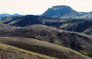 Comp image : torf0403 