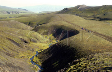 Comp image : torf1008 : The Eldgj&aacute; [Eldgja] valley in southern Iceland, reputedly the longest volcanic fissure in the world